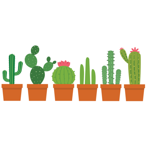 Herbruikbare statische raamsticker - Cactussen