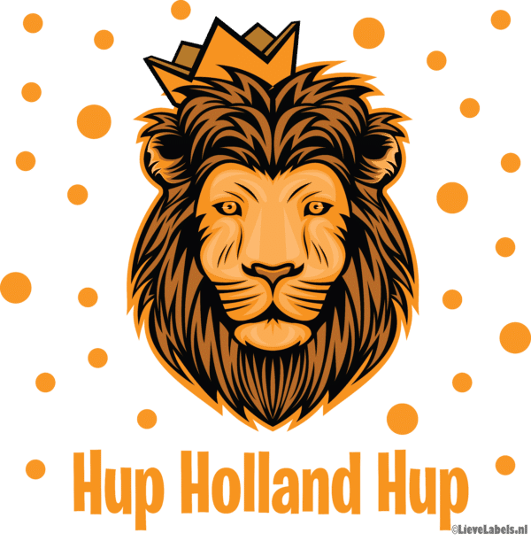 Herbruikbare statische raamstickers - Hup Holland